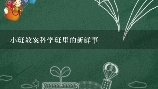 小班教案科学班里的新鲜事