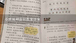 小班规则意识教案详案