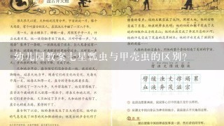 幼儿园教案七星瓢虫与甲壳虫的区别？