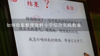 如何收集整理资料小学综合实践教案