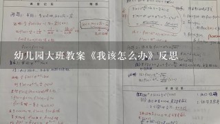 幼儿园大班教案《我该怎么办》反思