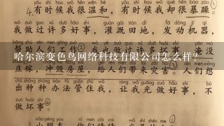 哈尔滨变色鸟网络科技有限公司怎么样？