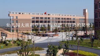 幼儿园大班科学教案与反思《母鸡的秘密》