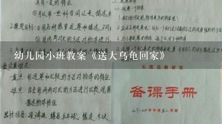 幼儿园小班教案《送大乌龟回家》