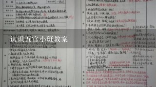 认识五官小班教案