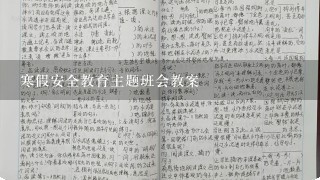 寒假安全教育主题班会教案