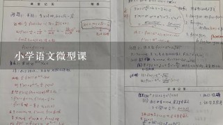 小学语文微型课