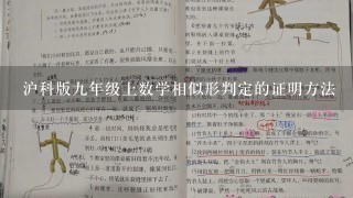 沪科版九年级上数学相似形判定的证明方法