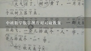 中班数学数字图片对对碰教案