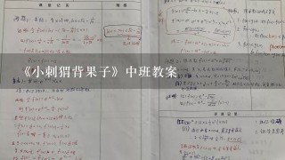 《小刺猬背果子》中班教案