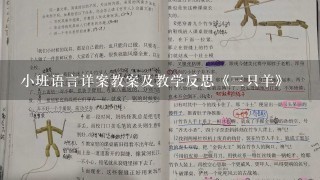 小班语言详案教案及教学反思《三只羊》