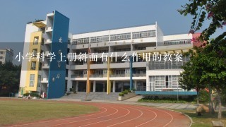 小学科学上册斜面有什么作用的教案