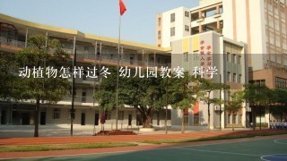 动植物怎样过冬 幼儿园教案 科学