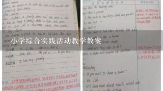 小学综合实践活动教学教案