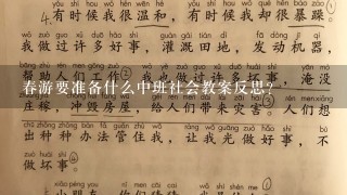 春游要准备什么中班社会教案反思？