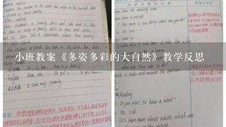 小班教案《多姿多彩的大自然》教学反思