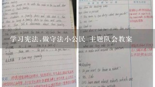 学习宪法,做守法小公民 主题队会教案