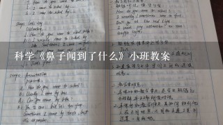 科学《鼻子闻到了什么》小班教案