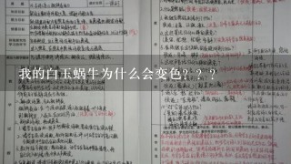 我的白玉蜗牛为什么会变色？？？