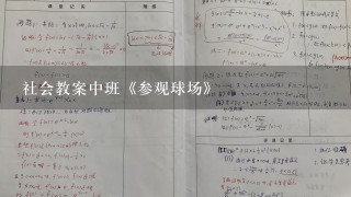 社会教案中班《参观球场》