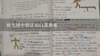 幼儿园中班认识白菜教案