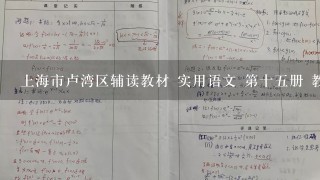 上海市卢湾区辅读教材 实用语文 第十五册 教案