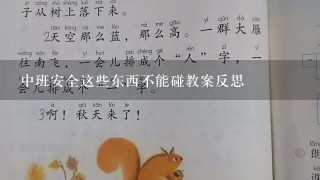 中班安全这些东西不能碰教案反思