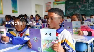 中班幼儿园教案