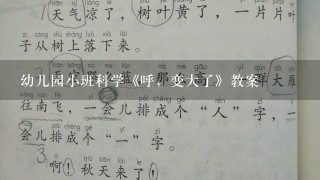 幼儿园小班科学《呼，变大了》教案