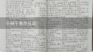 小蜗牛教学反思