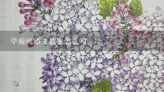 学前班语文教案怎么写