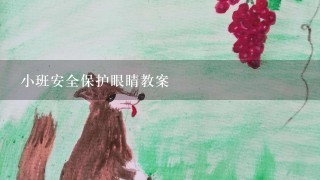 小班安全保护眼睛教案