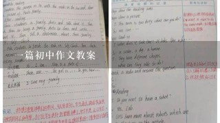 一篇初中作文教案