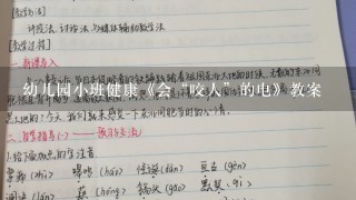 幼儿园小班健康《会“咬人”的电》教案