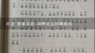 社会 教案反思 动物是怎样睡眠的