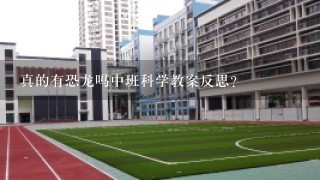 真的有恐龙吗中班科学教案反思？