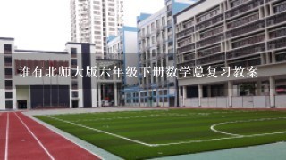 谁有北师大版六年级下册数学总复习教案