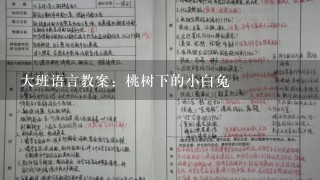 大班语言教案：桃树下的小白兔