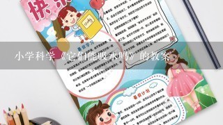 小学科学《它们能吸水吗》的教案