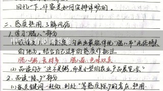 中学体育说课教案