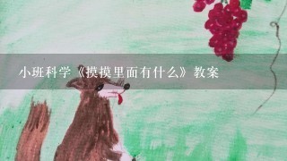 小班科学《摸摸里面有什么》教案