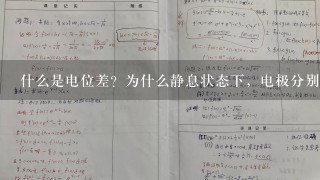 什么是电位差？为什么静息状态下，电极分别接膜内和