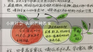 小班社会 认识芒种教案