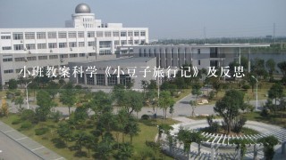 小班教案科学《小豆子旅行记》及反思