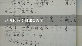 幼儿园数学相邻数教案