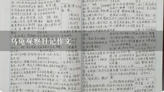 乌龟观察日记作文