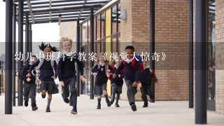 幼儿中班科学教案《视觉大惊奇》