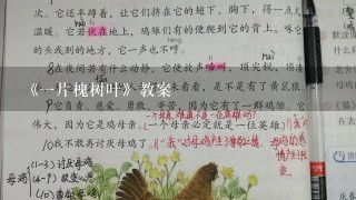 《一片槐树叶》教案