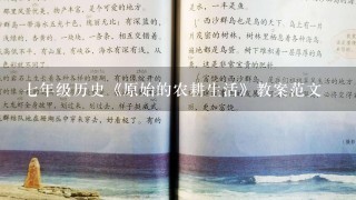 七年级历史《原始的农耕生活》教案范文