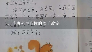 小班科学有趣的盖子教案